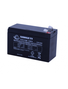 Baterie stationara 12V 9Ah Sorgeti Perpetuum Power AGM VRLA - Sorgeti.ro