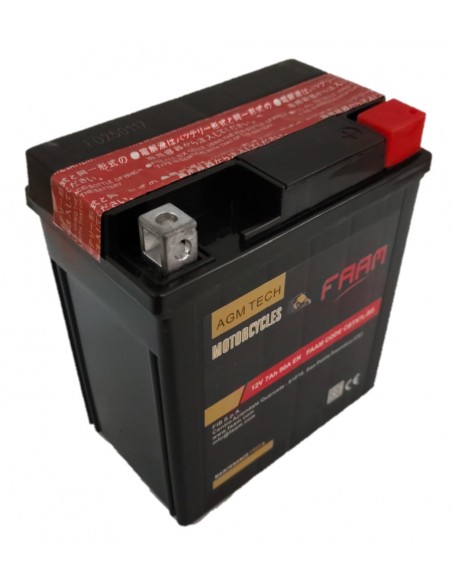Baterie moto Faam AGM 7Ah, 114x71x131 - Sorgeti.ro