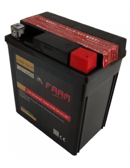 Baterie moto Faam AGM 7Ah, 114x71x131 - Sorgeti.ro