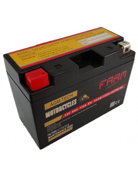 Baterie moto Faam AGM 8Ah, 150x70x105 - Sorgeti.ro