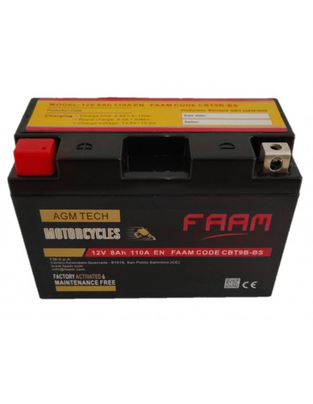 Baterie moto Faam AGM 8Ah, 150x70x105 - Sorgeti.ro