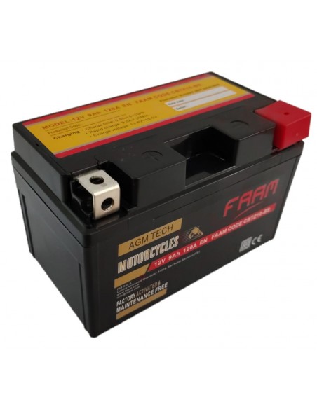 Baterie moto Faam AGM 9Ah, 150x87x93 - Sorgeti.ro