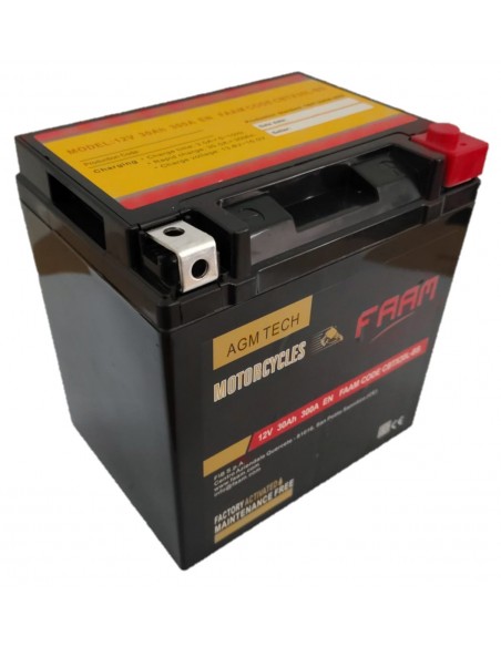 Baterie moto Faam AGM 30Ah, 166x127x175 - Sorgeti.ro