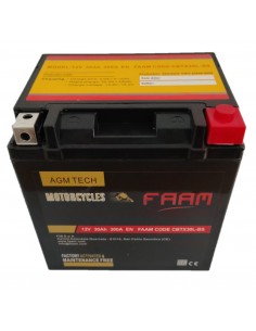 Baterie moto Faam AGM 30Ah, 166x127x175 - Sorgeti.ro