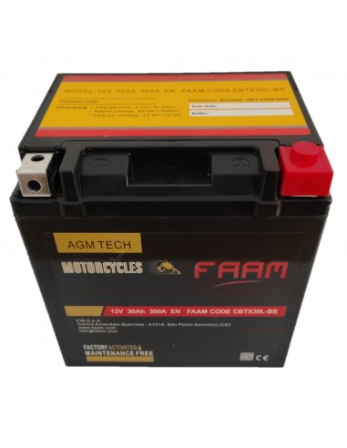 Baterie moto Faam AGM 30Ah, 166x127x175 1 - Sorgeti.ro