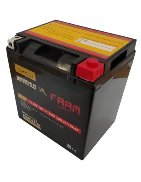 Baterie moto Faam AGM 30Ah, 166x127x175 - Sorgeti.ro
