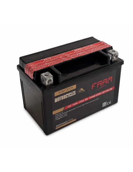 Baterie moto Faam AGM 12Ah, 120A, 152x88x106 - Sorgeti.ro