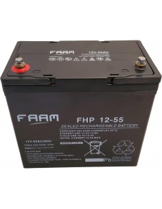 Baterie stationara FAAM AGM VRLA 55h - Sorgeti.ro