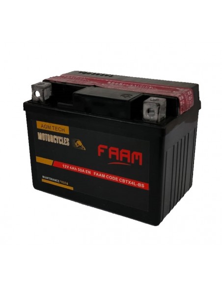 Baterie moto Faam AGM 4Ah, 114x71x86 - Sorgeti.ro